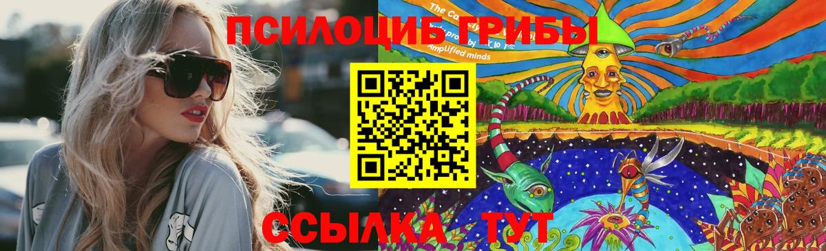 Мирный  Псилоцибиновые грибы Psilocybe  Вход с VPN 