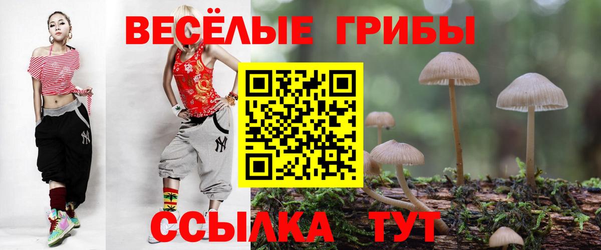 Псилоцибиновые грибы прущие грибы Мирный