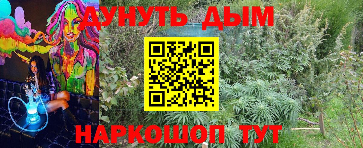 Бошки марихуана сатива  Конопля марихуана  Мирный  Бошки марихуана индика  Вход с VPN 